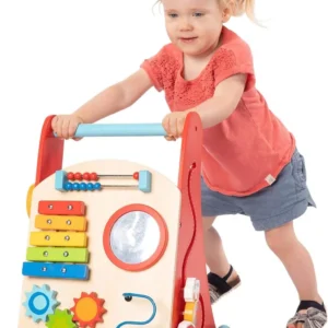 Busy Baby Deluxe Walker