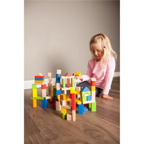 TimberBlocks - 100 Piece Wooden Block Set